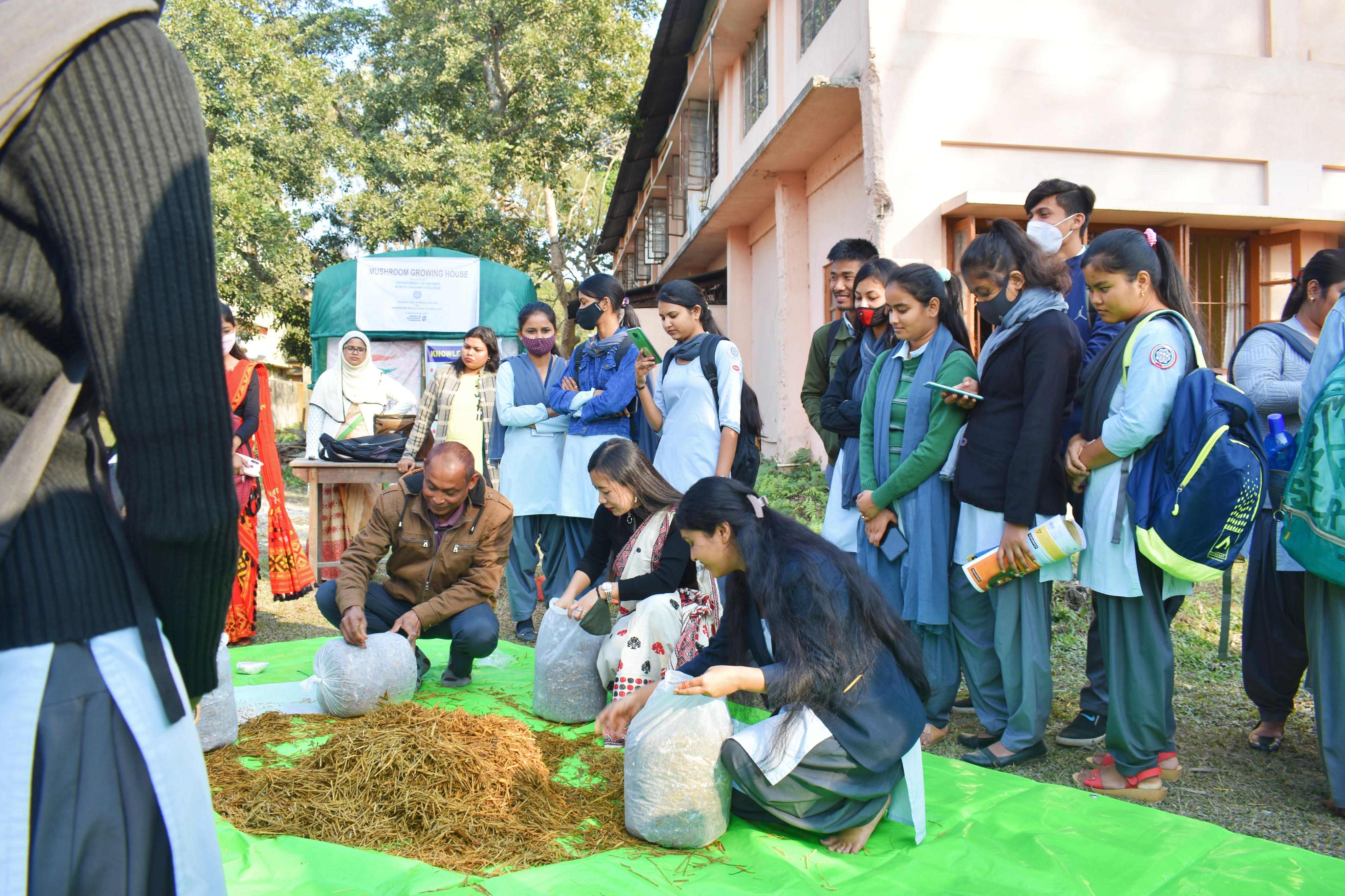 Workshop on Mushroom Plantation