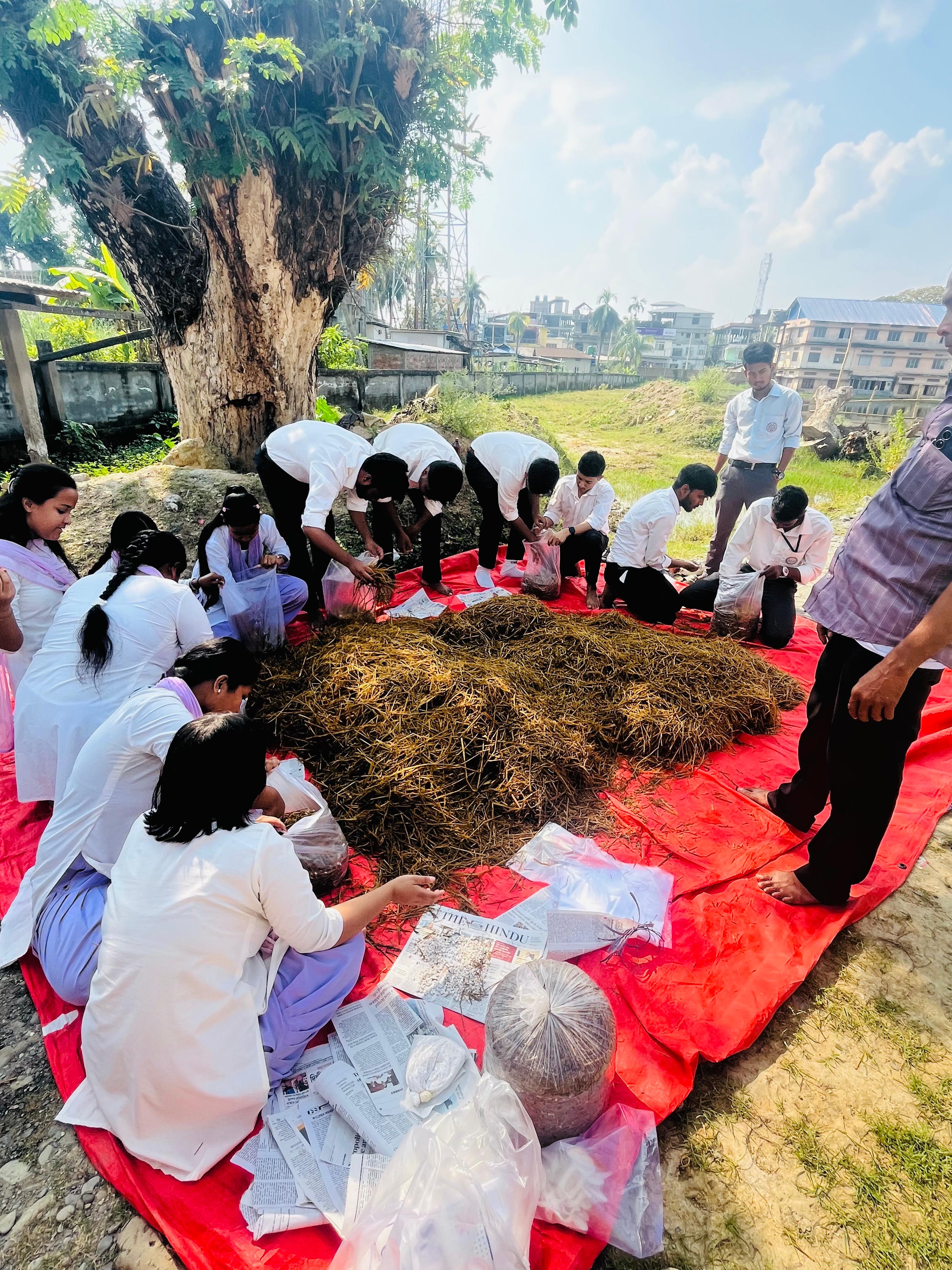 North Gauhati College