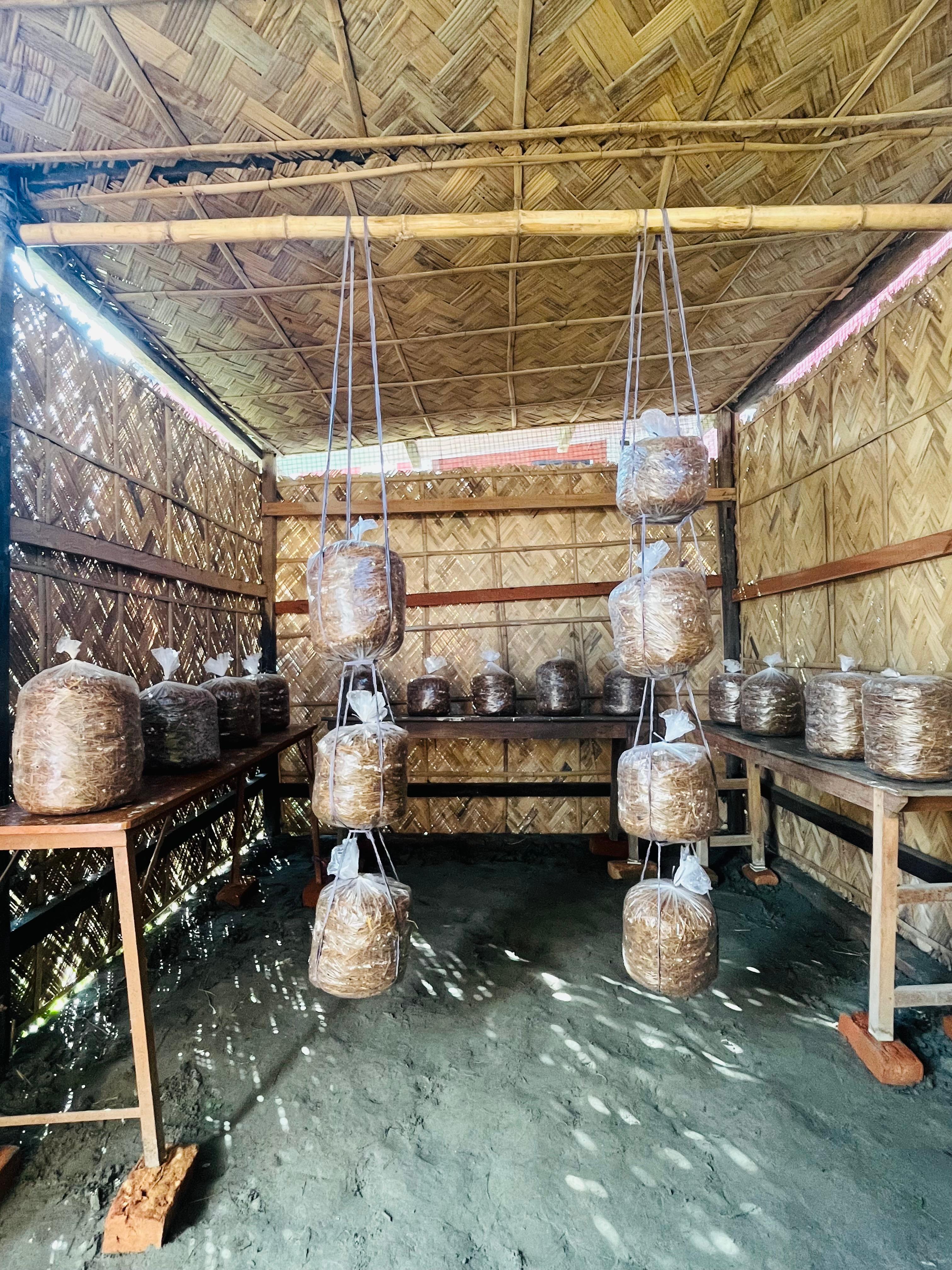 North Gauhati College