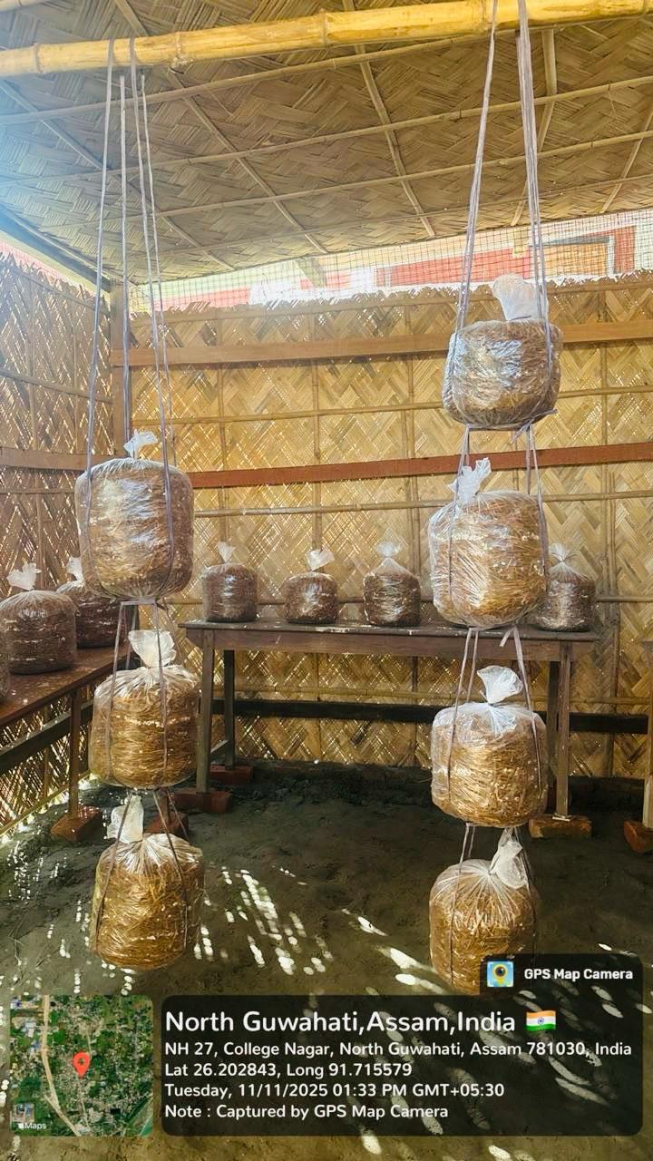 North Gauhati College