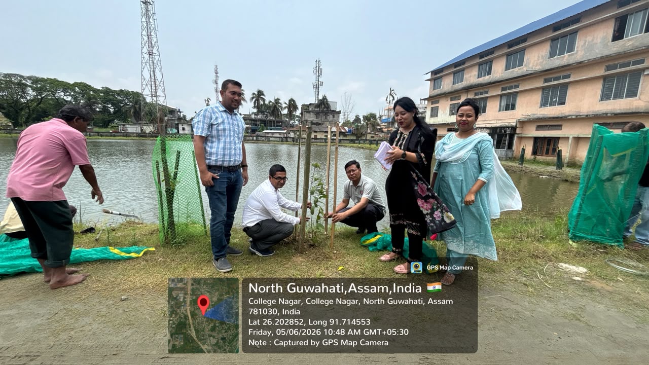 North Gauhati College